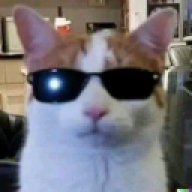 Jeppek121