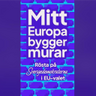 Torkad_mango.