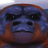jujujunior11